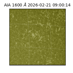 saia - 2026-02-21T09:00:14.133000