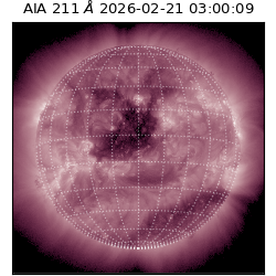 saia - 2026-02-21T03:00:09.640000