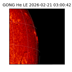 gong - 2026-02-21T03:00:42
