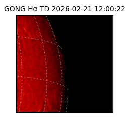 gong - 2026-02-21T12:00:22