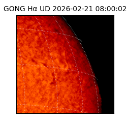 gong - 2026-02-21T08:00:02