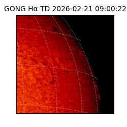 gong - 2026-02-21T09:00:22