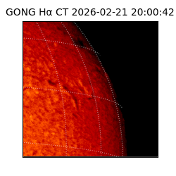 gong - 2026-02-21T20:00:42