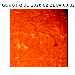 gong - 2026-02-21T04:00:02
