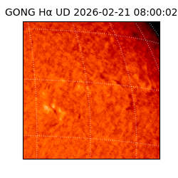 gong - 2026-02-21T08:00:02