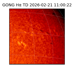 gong - 2026-02-21T11:00:22