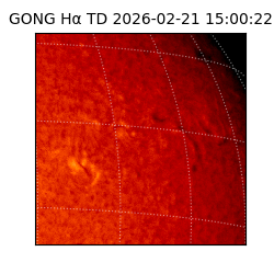 gong - 2026-02-21T15:00:22