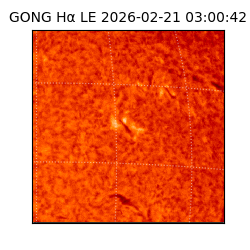 gong - 2026-02-21T03:00:42