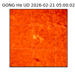 gong - 2026-02-21T05:00:02