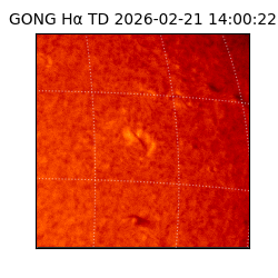 gong - 2026-02-21T14:00:22