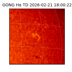 gong - 2026-02-21T18:00:22