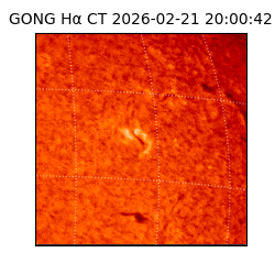 gong - 2026-02-21T20:00:42