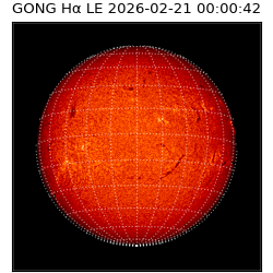 gong - 2026-02-21T00:00:42