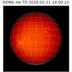 gong - 2026-02-21T14:00:22