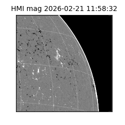 shmi - 2026-02-21T11:58:32.600000