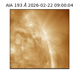 saia - 2026-02-22T09:00:04.843000