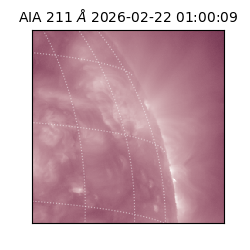 saia - 2026-02-22T01:00:09.633000