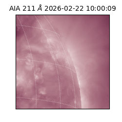 saia - 2026-02-22T10:00:09.632000