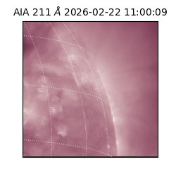 saia - 2026-02-22T11:00:09.631000