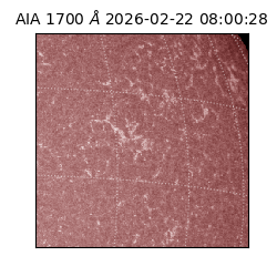 saia - 2026-02-22T08:00:28.749000
