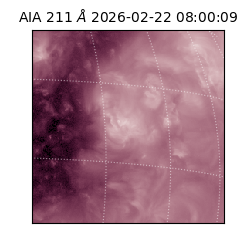 saia - 2026-02-22T08:00:09.632000