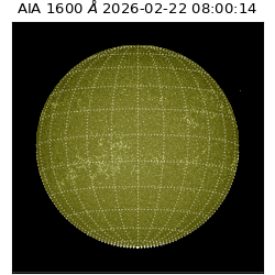 saia - 2026-02-22T08:00:14.126000
