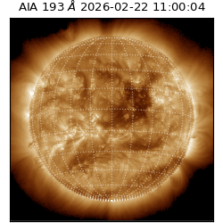 saia - 2026-02-22T11:00:04.843000