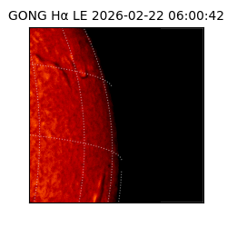 gong - 2026-02-22T06:00:42