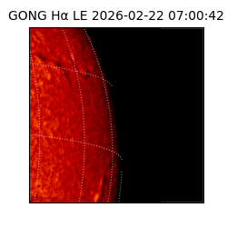 gong - 2026-02-22T07:00:42