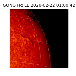 gong - 2026-02-22T01:00:42
