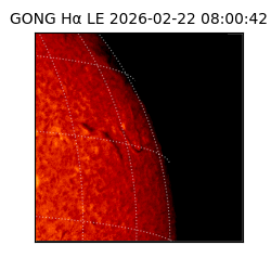 gong - 2026-02-22T08:00:42