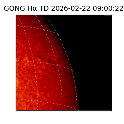 gong - 2026-02-22T09:00:22