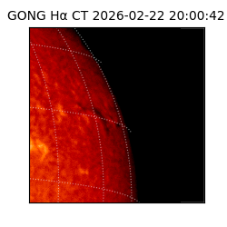 gong - 2026-02-22T20:00:42