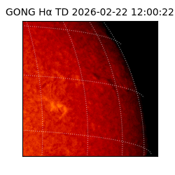 gong - 2026-02-22T12:00:22