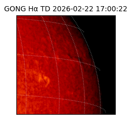 gong - 2026-02-22T17:00:22