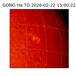 gong - 2026-02-22T15:00:22