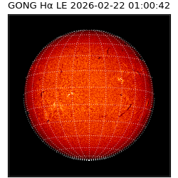gong - 2026-02-22T01:00:42