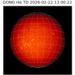 gong - 2026-02-22T13:00:22