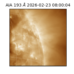 saia - 2026-02-23T08:00:04.835000