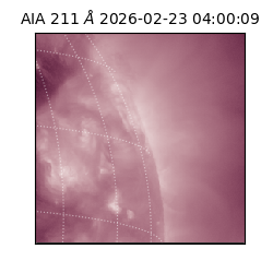 saia - 2026-02-23T04:00:09.626000