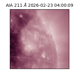 saia - 2026-02-23T04:00:09.626000