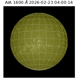 saia - 2026-02-23T04:00:14.126000