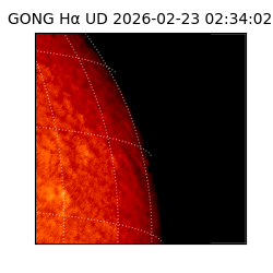 gong - 2026-02-23T02:34:02