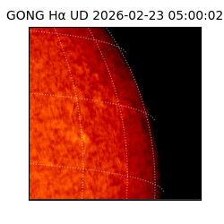 gong - 2026-02-23T05:00:02