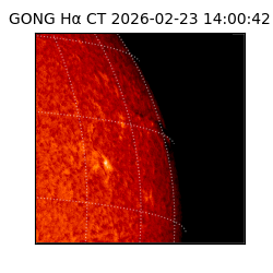 gong - 2026-02-23T14:00:42