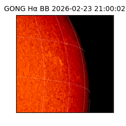 gong - 2026-02-23T21:00:02