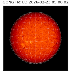 gong - 2026-02-23T05:00:02