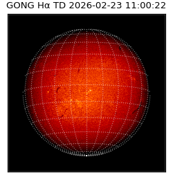 gong - 2026-02-23T11:00:22