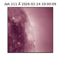 saia - 2026-02-24T20:00:09.618000