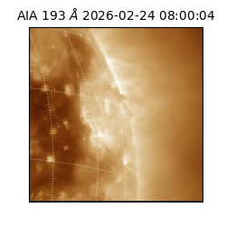 saia - 2026-02-24T08:00:04.847000